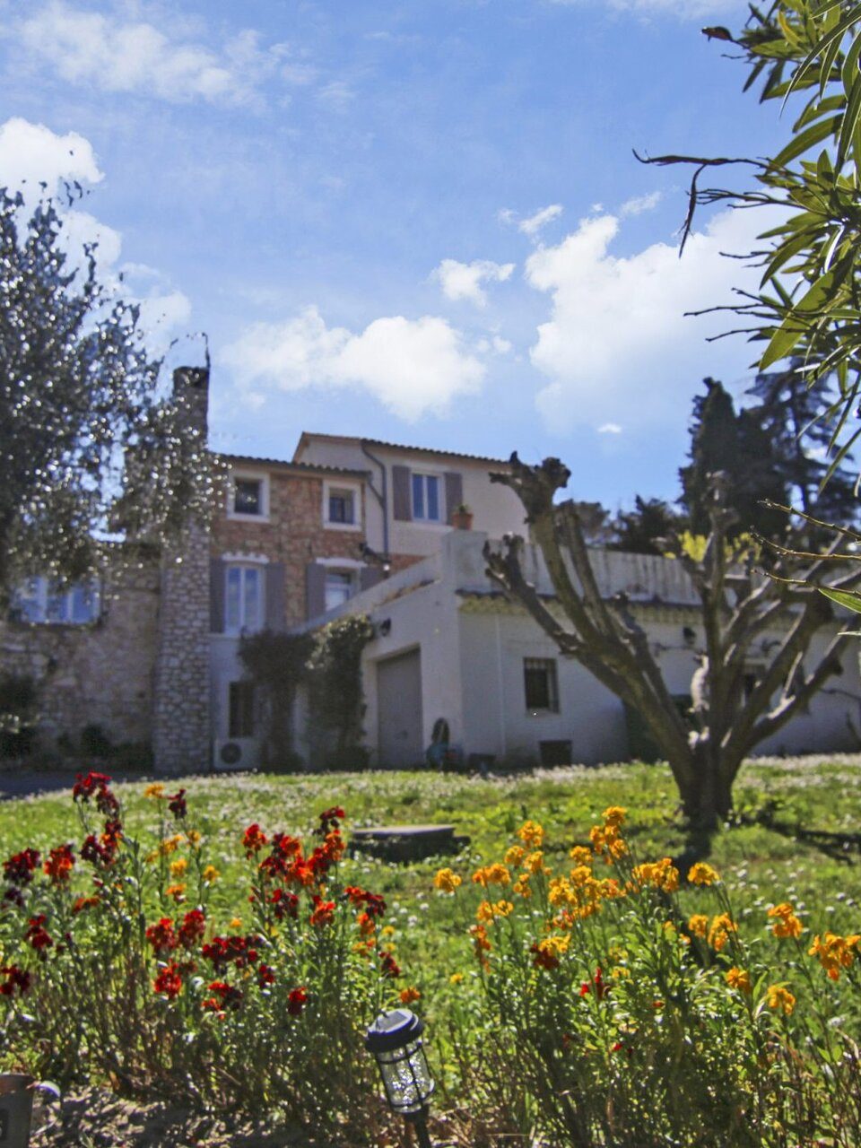 Garden Setting